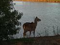 20140630jw-australia-P1170179