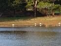 20140630jw-australia-P1170180