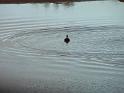 20140630jw-australia-P1170181