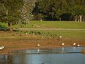 20140630jw-australia-P1170182