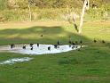 20140630jw-australia-P1170184