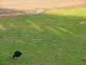 20140630jw-australia-P1170185