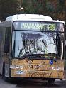 20140630jw-australia-P1170197