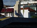 20140630jw-australia-P1170283