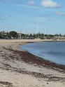 20140630jw-australia-P1170286