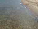 20140630jw-australia-P1170289