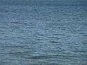 20140630jw-australia-P1170290