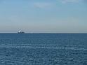 20140630jw-australia-P1170296