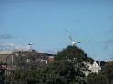 20140630jw-australia-P1170323