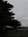20140630jw-australia-P1170348