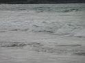 20140630jw-australia-P1170378