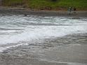20140630jw-australia-P1170380