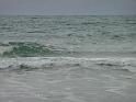20140630jw-australia-P1170381