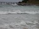 20140630jw-australia-P1170382