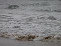 20140630jw-australia-P1170384