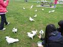 20140630jw-australia-P1170396