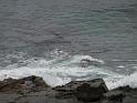 20140630jw-australia-P1170497
