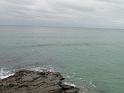 20140630jw-australia-P1170500