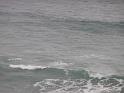 20140630jw-australia-P1170610