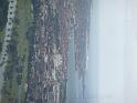 20140630jw-australia-P1170750