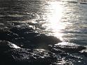 20140630jw-australia-P1180096