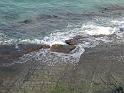 20140630jw-australia-P1180106