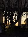 20140630jw-australia-P1180719