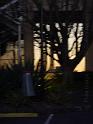 20140630jw-australia-P1180721