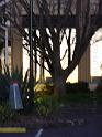 20140630jw-australia-P1180722
