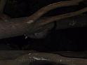 20140630jw-australia-P1180732