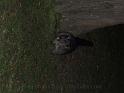 20140630jw-australia-P1180737