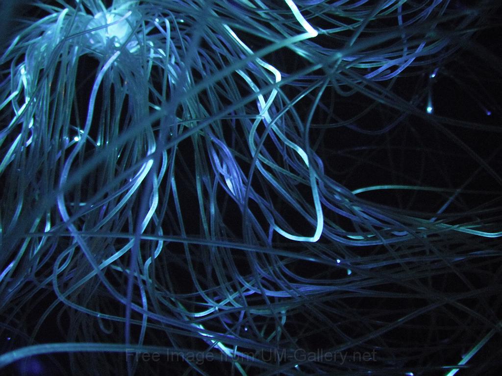 DSCF8176.JPG
