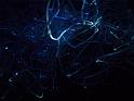 100627sci_museum_P1040629