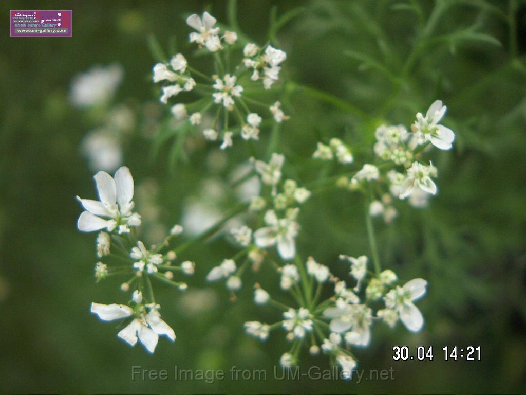 PICT3933.JPG