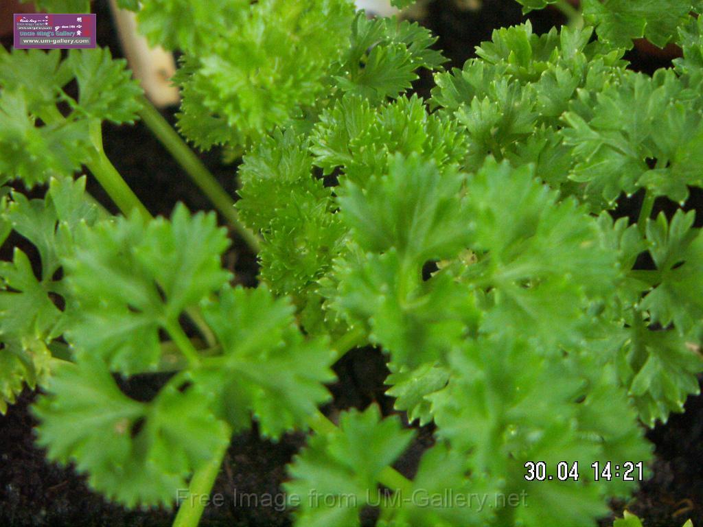 PICT3934.JPG