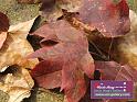 0701_DSCF0255