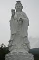 20150524jw_tszshan_monastery_DSC_8232