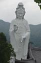 20150524jw_tszshan_monastery_DSC_8259