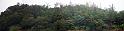trees_30x125in