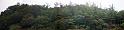 trees_30x125in_web