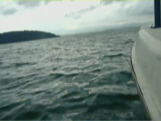 08 diving in sabah 08 diving in sabah